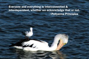 Everything and everyone is interconnected and interdependent