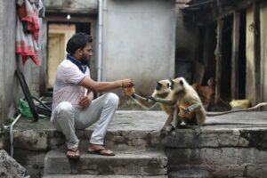 A man in casual clothing and flip-flops, sitting on stone steps surrounded by concrete walls, feeding two monkeys. The monkeys are sitting alongside him, gently taking food from his hand.
