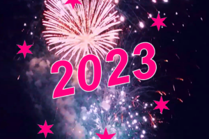 Fireworks against a dark sky, with 2023 in bright pink across the top.