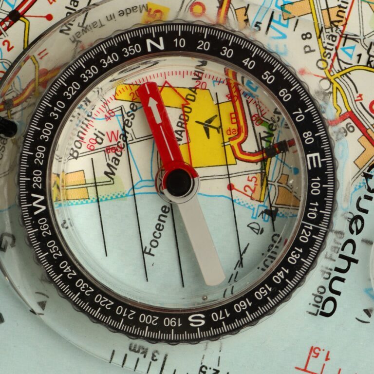 Compass-and-Map-1x1-1-768x768